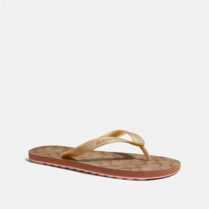 Womens Coach Flip Flops Sale India Coach Discount